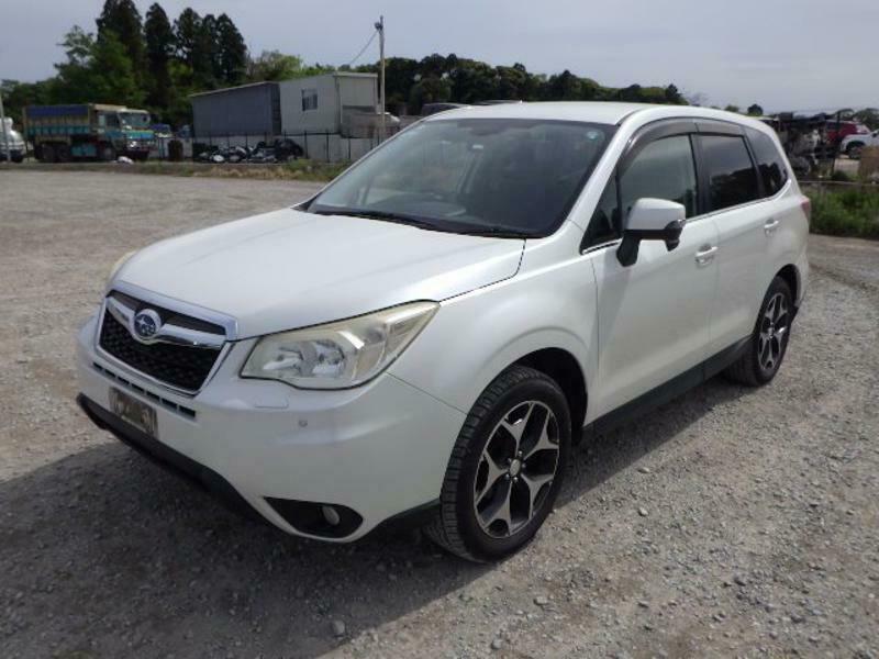 FORESTER-35