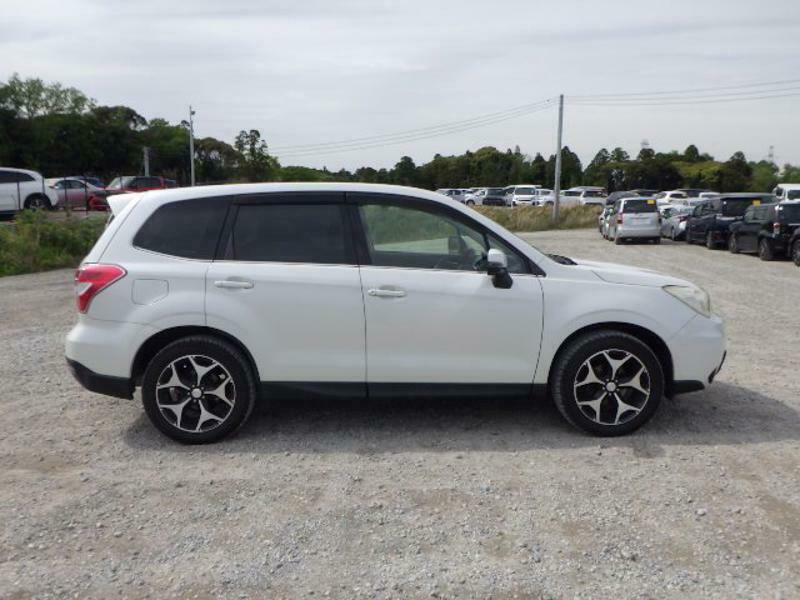 FORESTER-36