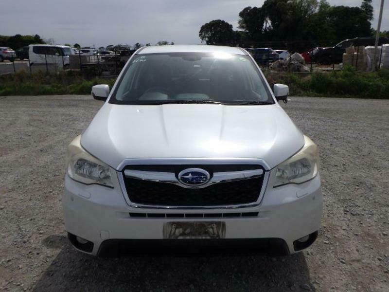 FORESTER-37
