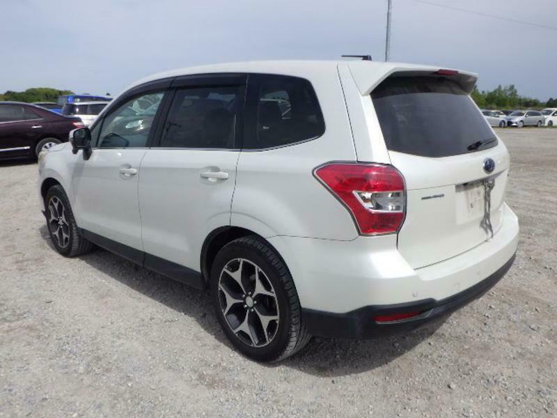 FORESTER-38
