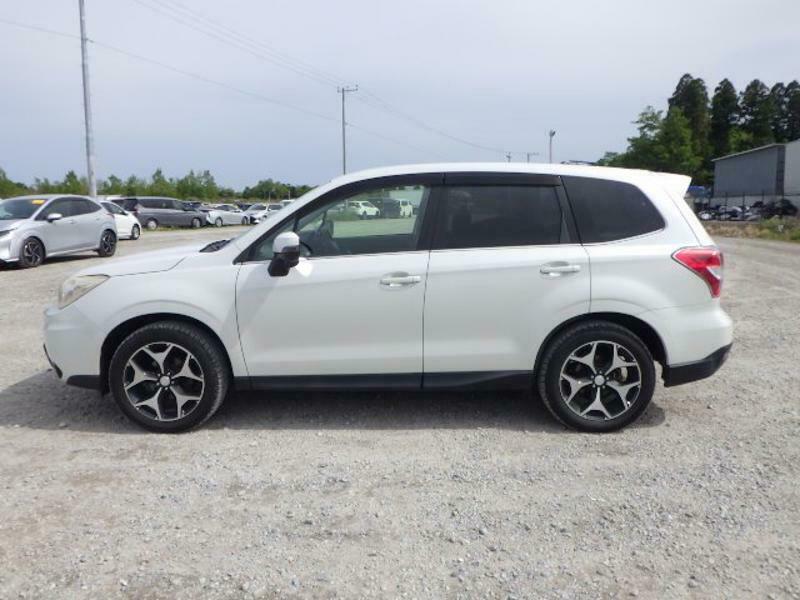 FORESTER-40