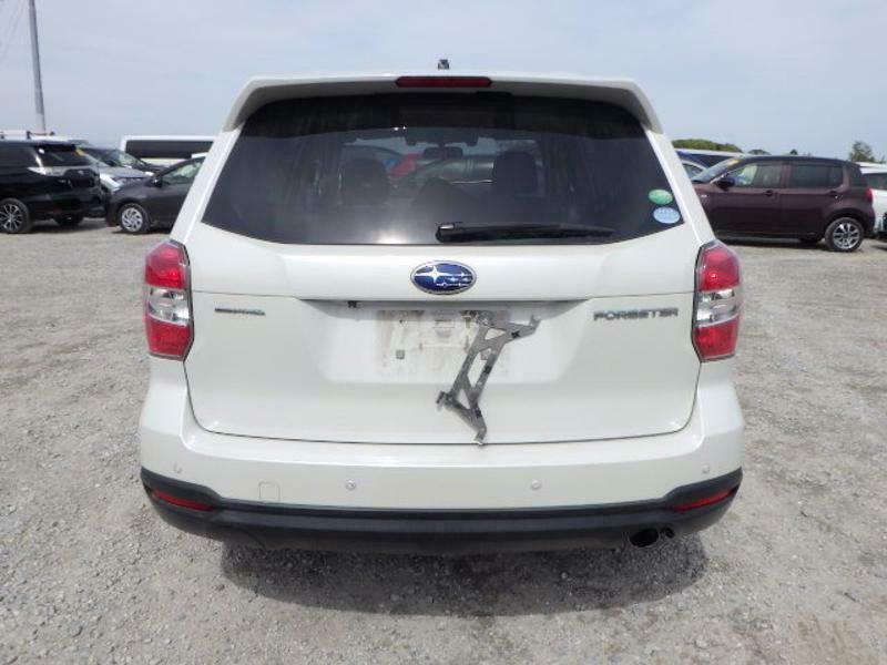 FORESTER-41