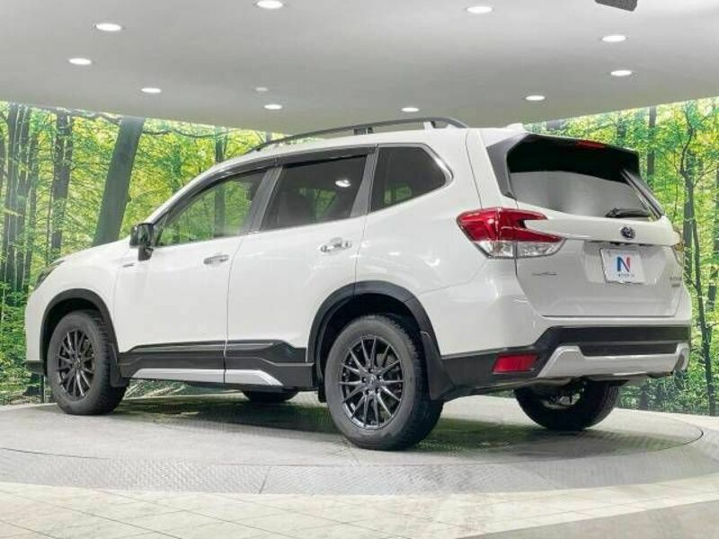 FORESTER