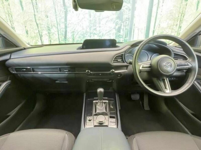 CX-30-1