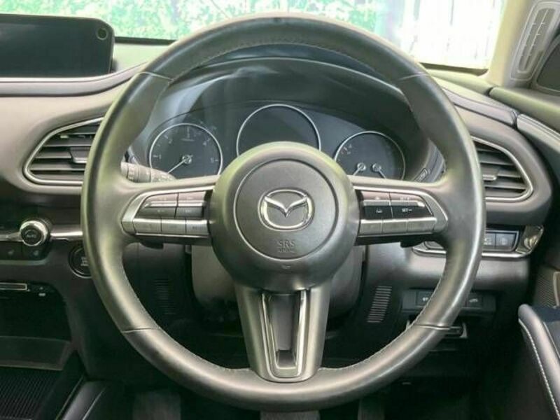 CX-30-10