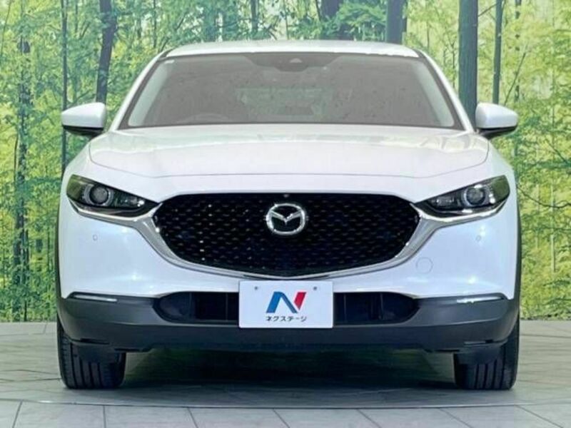 CX-30-13