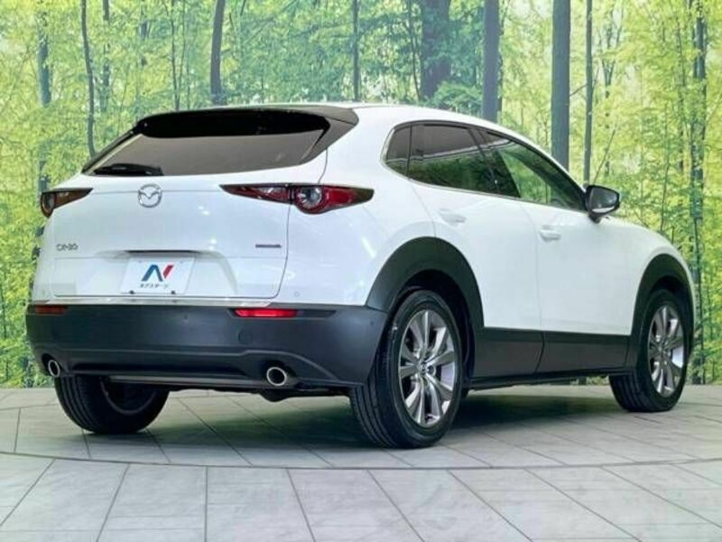 CX-30-16