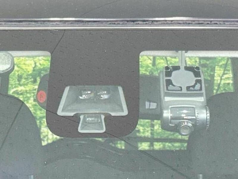 DAYZ ROOX-2