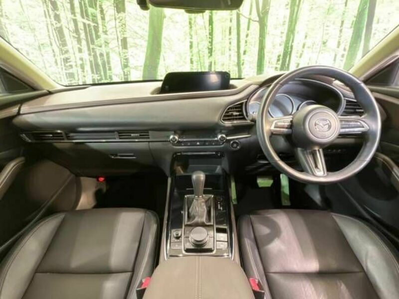 CX-30-1