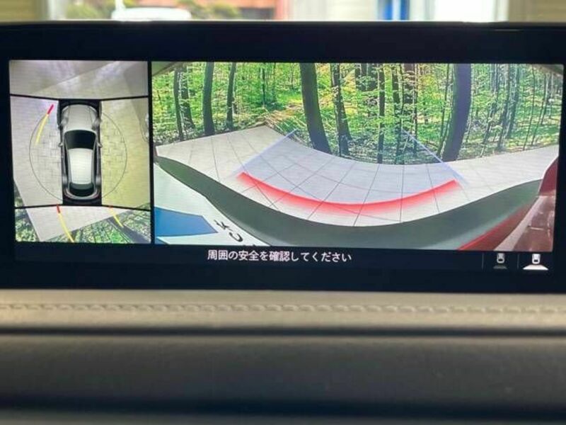 CX-30-4