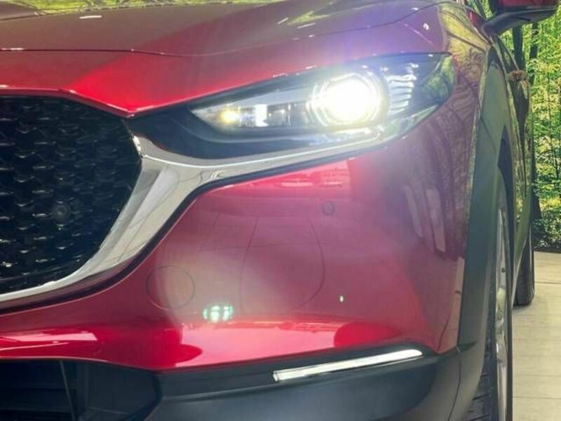 CX-30-10