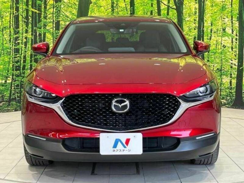 CX-30-11