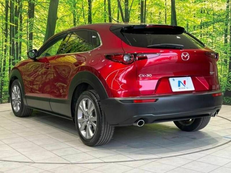 CX-30-13