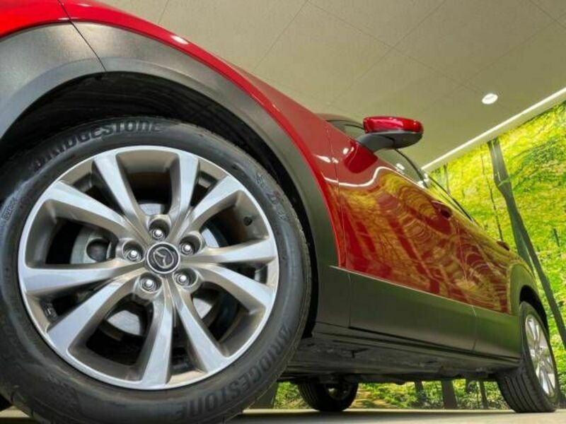 CX-30-17