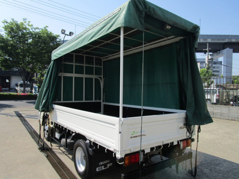 ELF-6