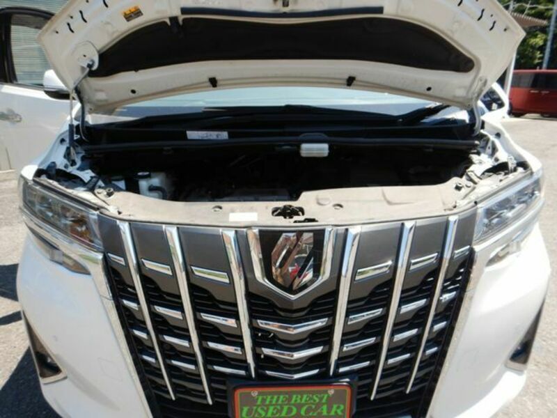 ALPHARD-17