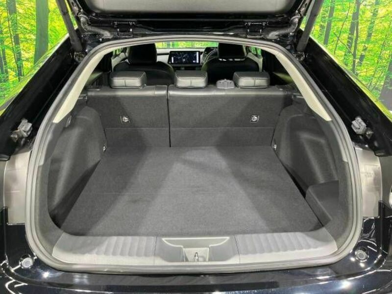 PRIUS-11
