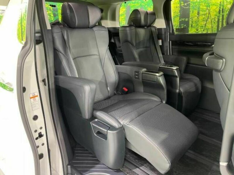ALPHARD-10
