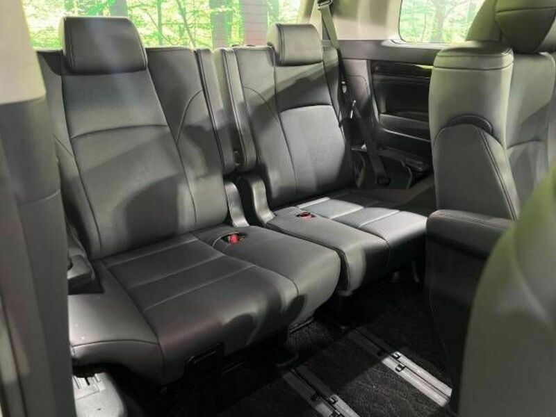 ALPHARD-11