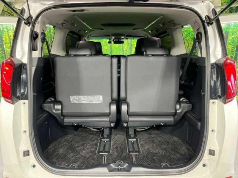 ALPHARD-12