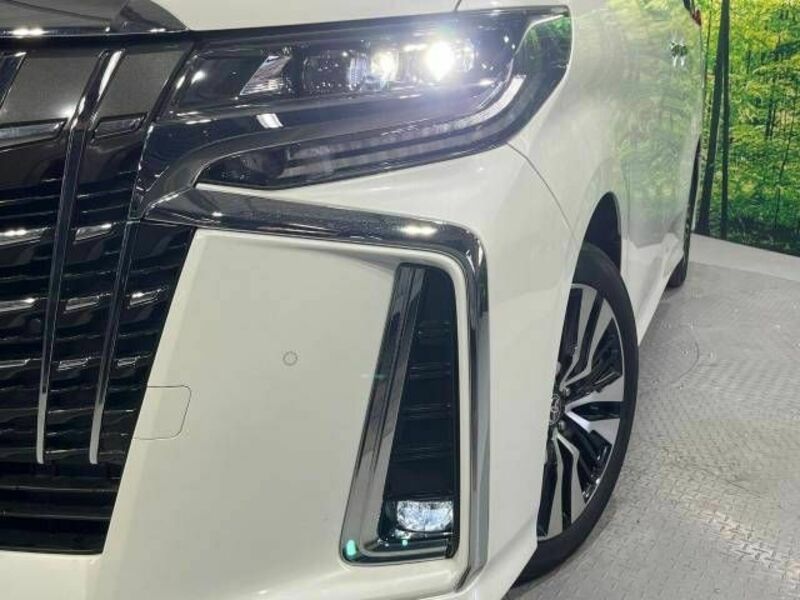 ALPHARD-13