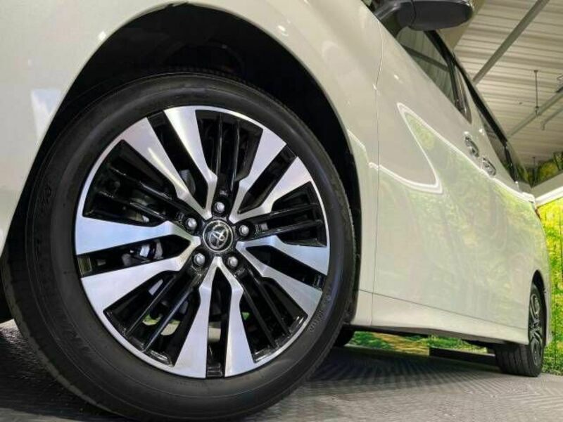 ALPHARD-14