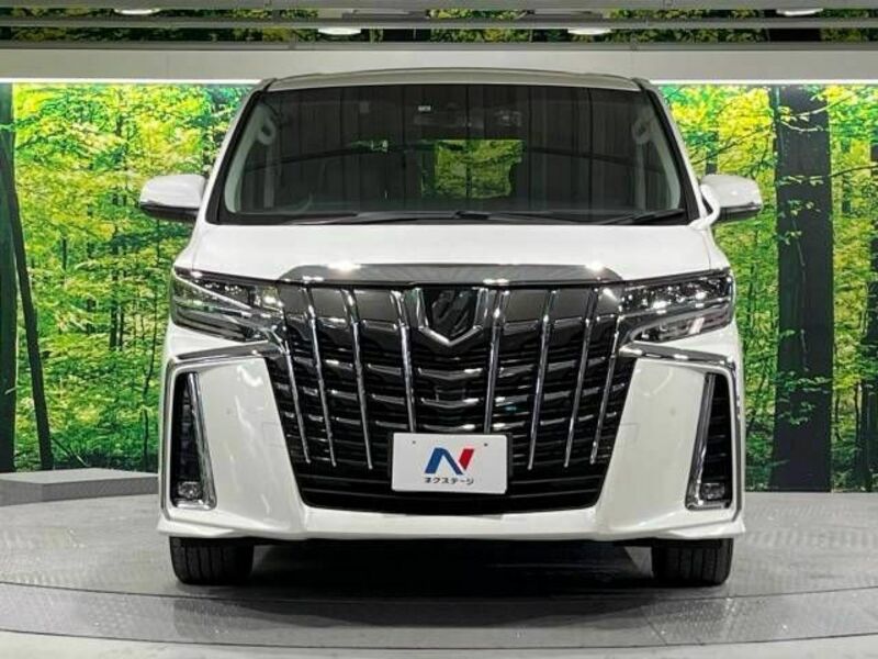 ALPHARD-15