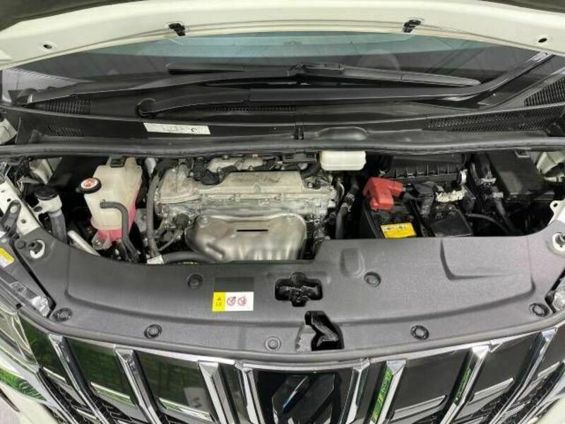 ALPHARD-19