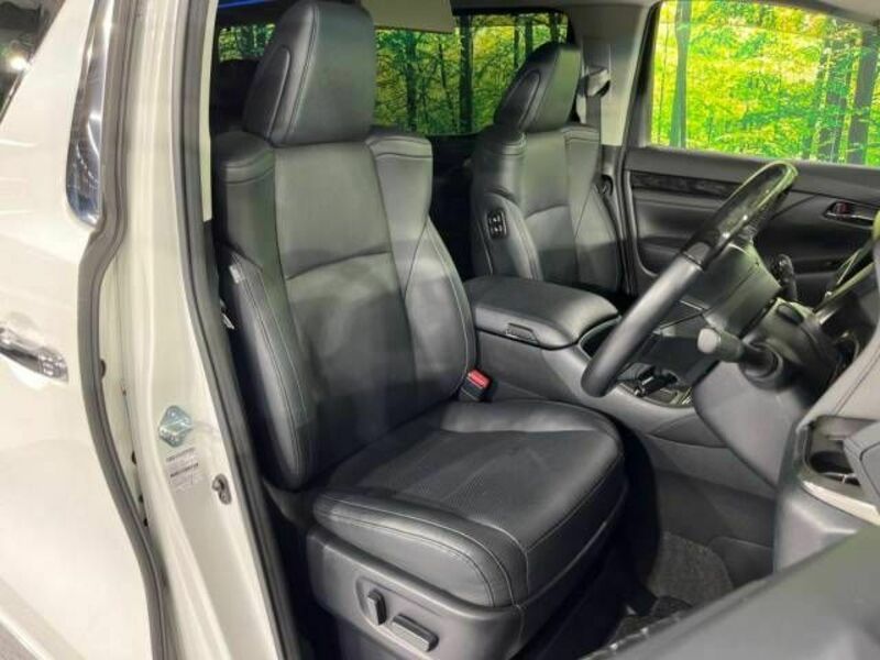 ALPHARD-8