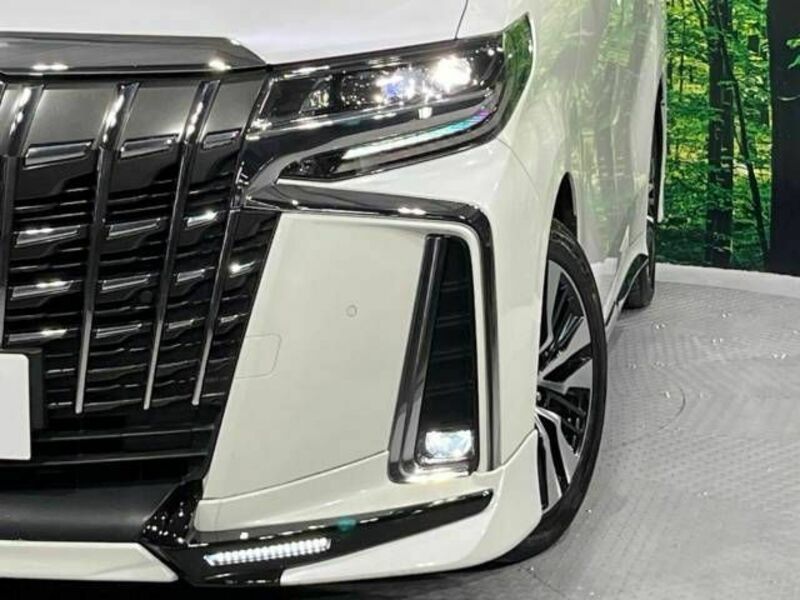 ALPHARD-13