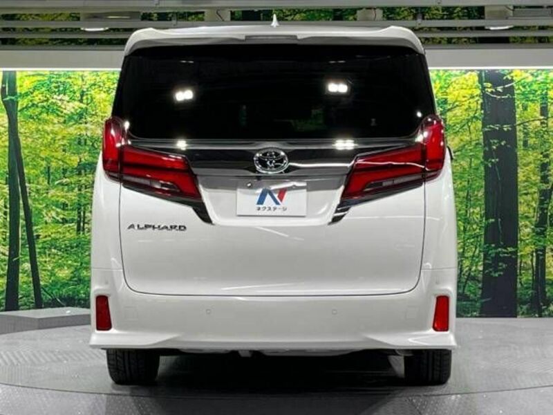 ALPHARD-16