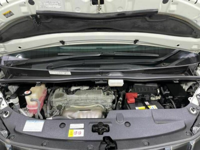 ALPHARD-19