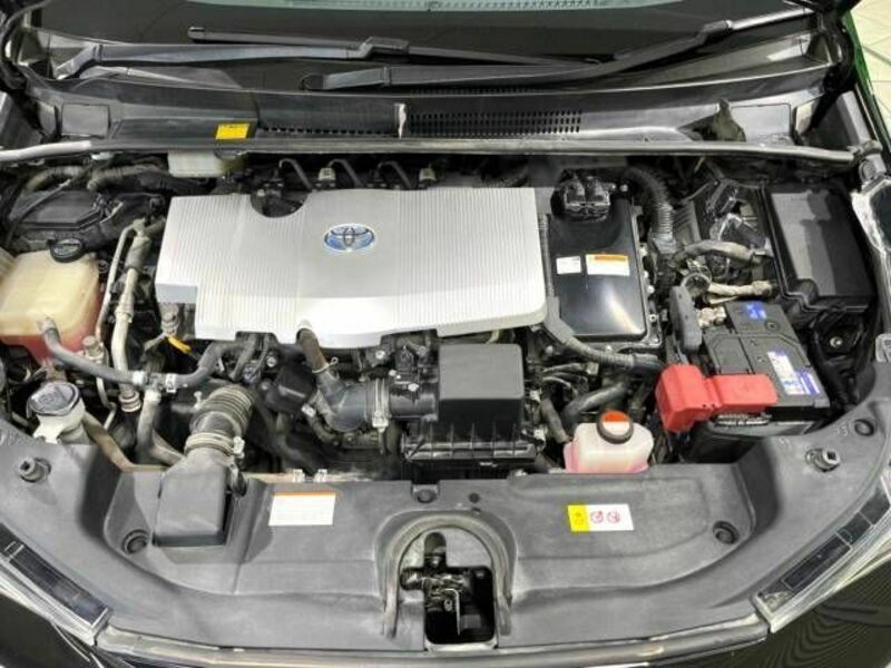 PRIUS-19