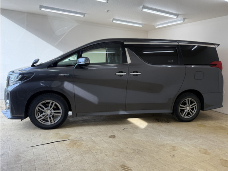 ALPHARD-3