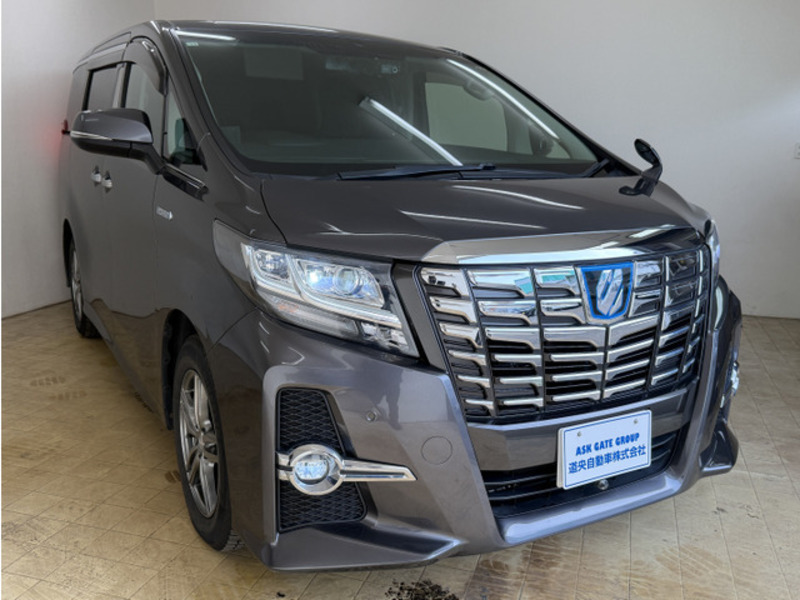ALPHARD-19