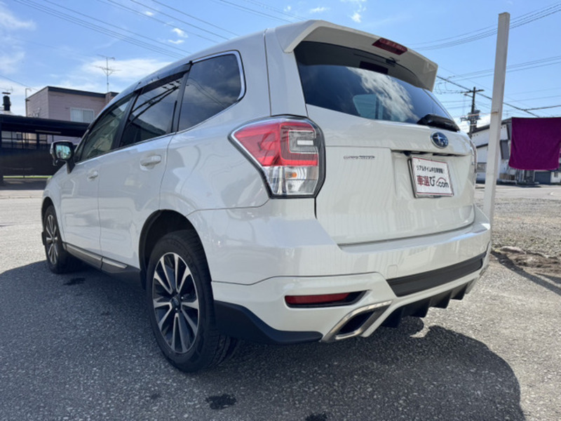 FORESTER-5