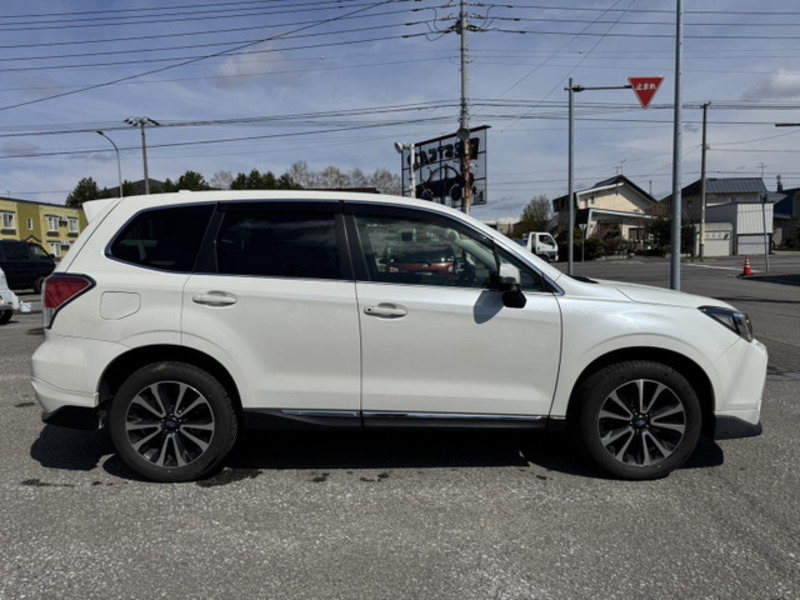 FORESTER-6