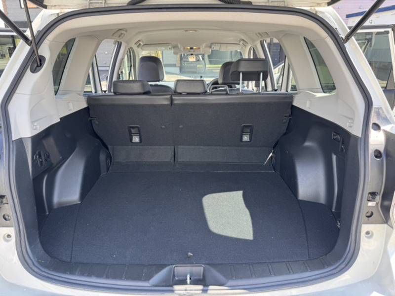 FORESTER-19