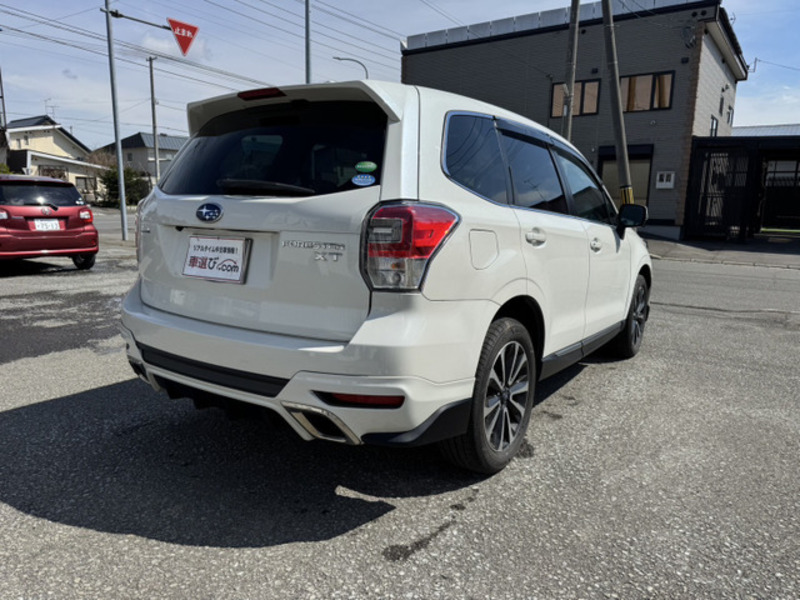 FORESTER-3