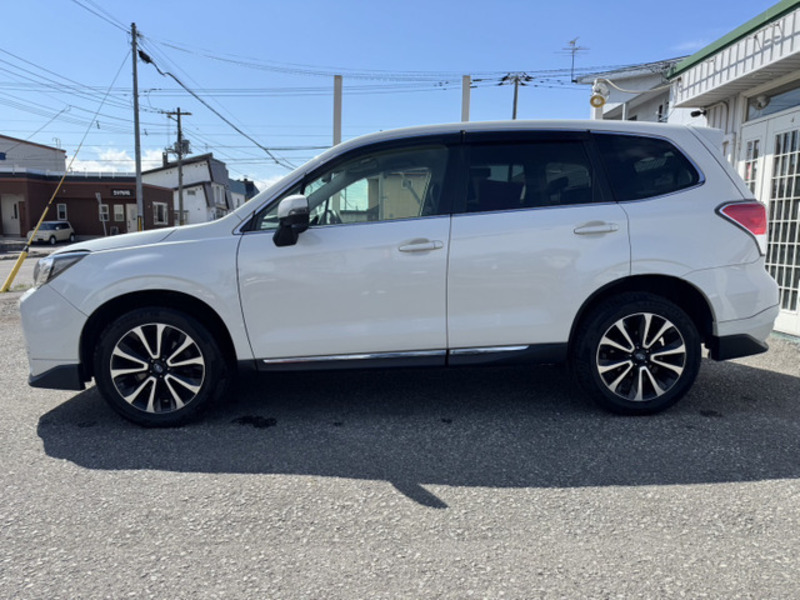 FORESTER-7