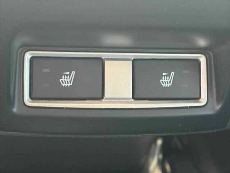 FORESTER-10
