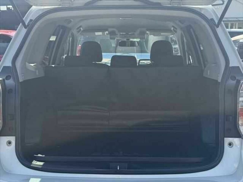 FORESTER-13