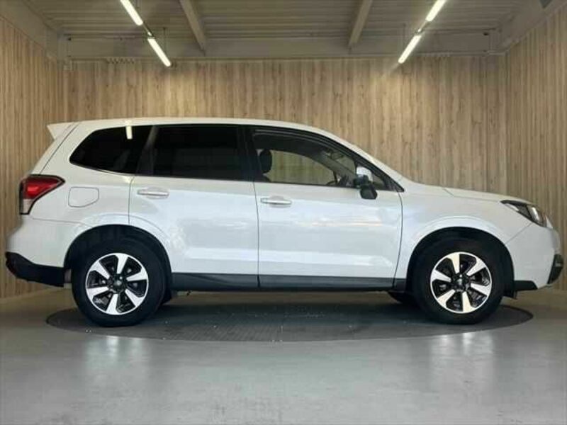 FORESTER-20