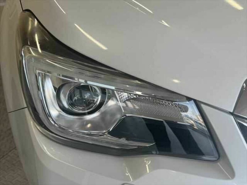 FORESTER-26