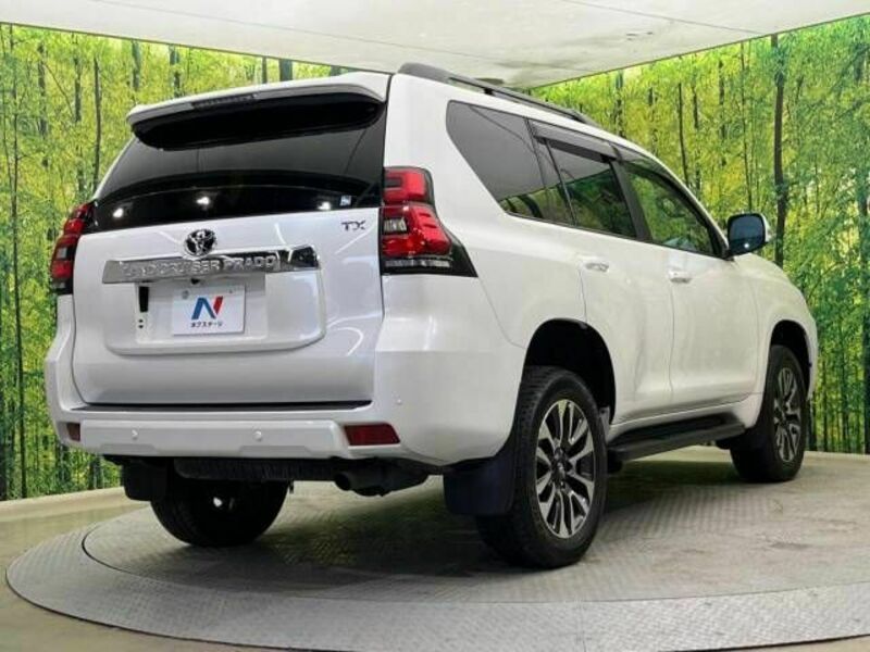 LAND CRUISER PRADO-17