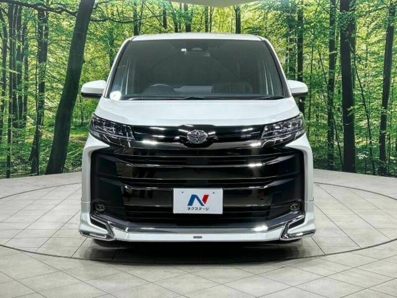 NOAH-15