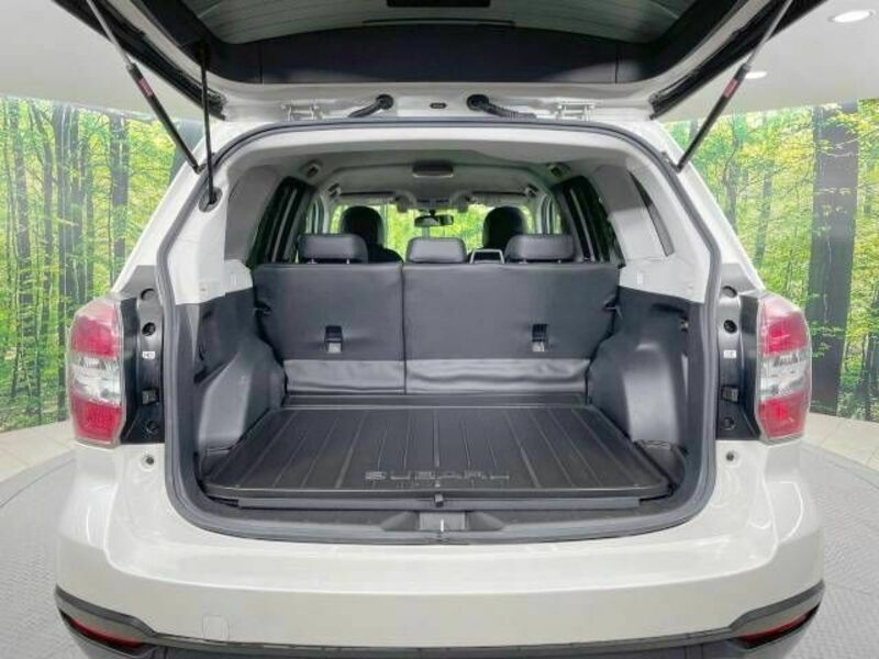 FORESTER-9