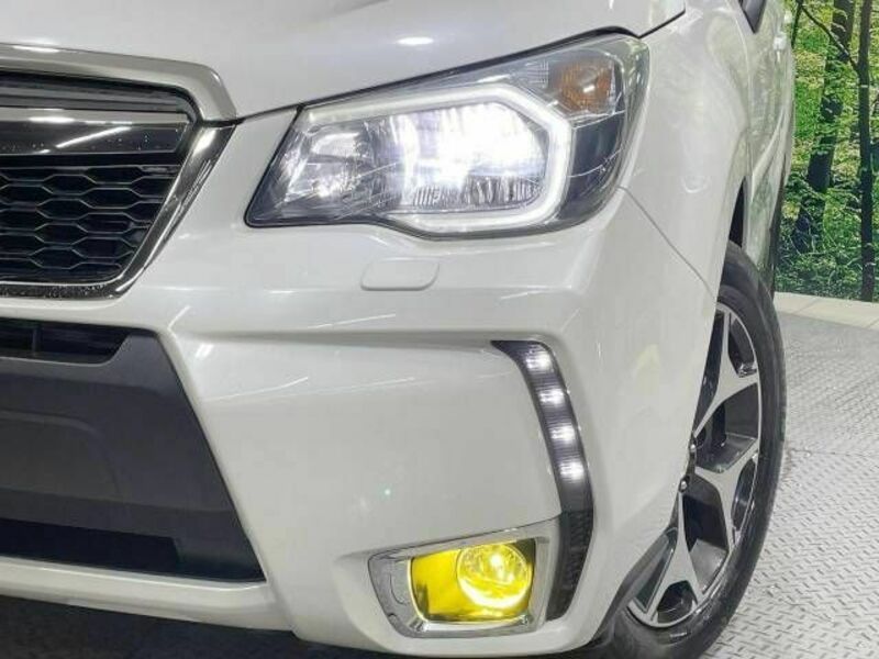 FORESTER-11