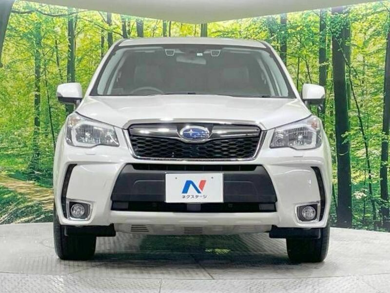FORESTER-13