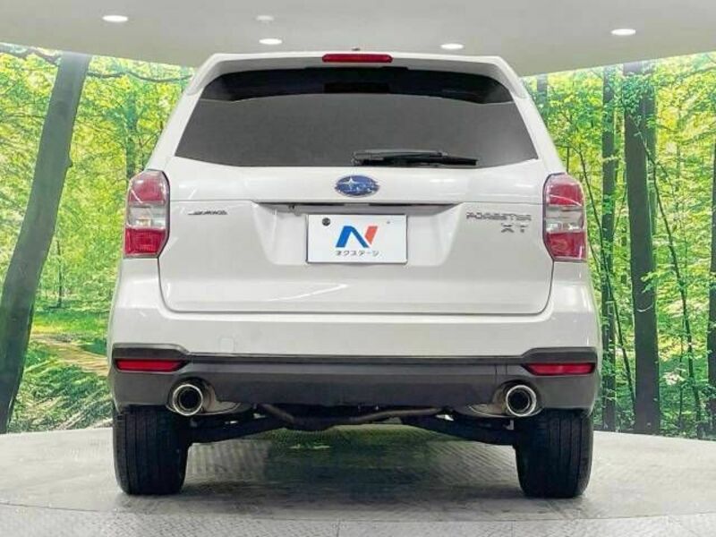 FORESTER-14